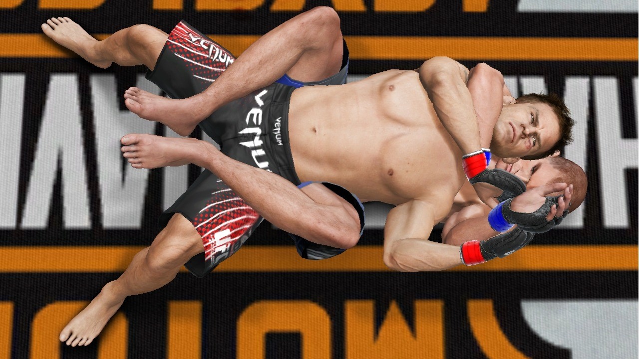 UFC Undisputed 3 - Imagen 24